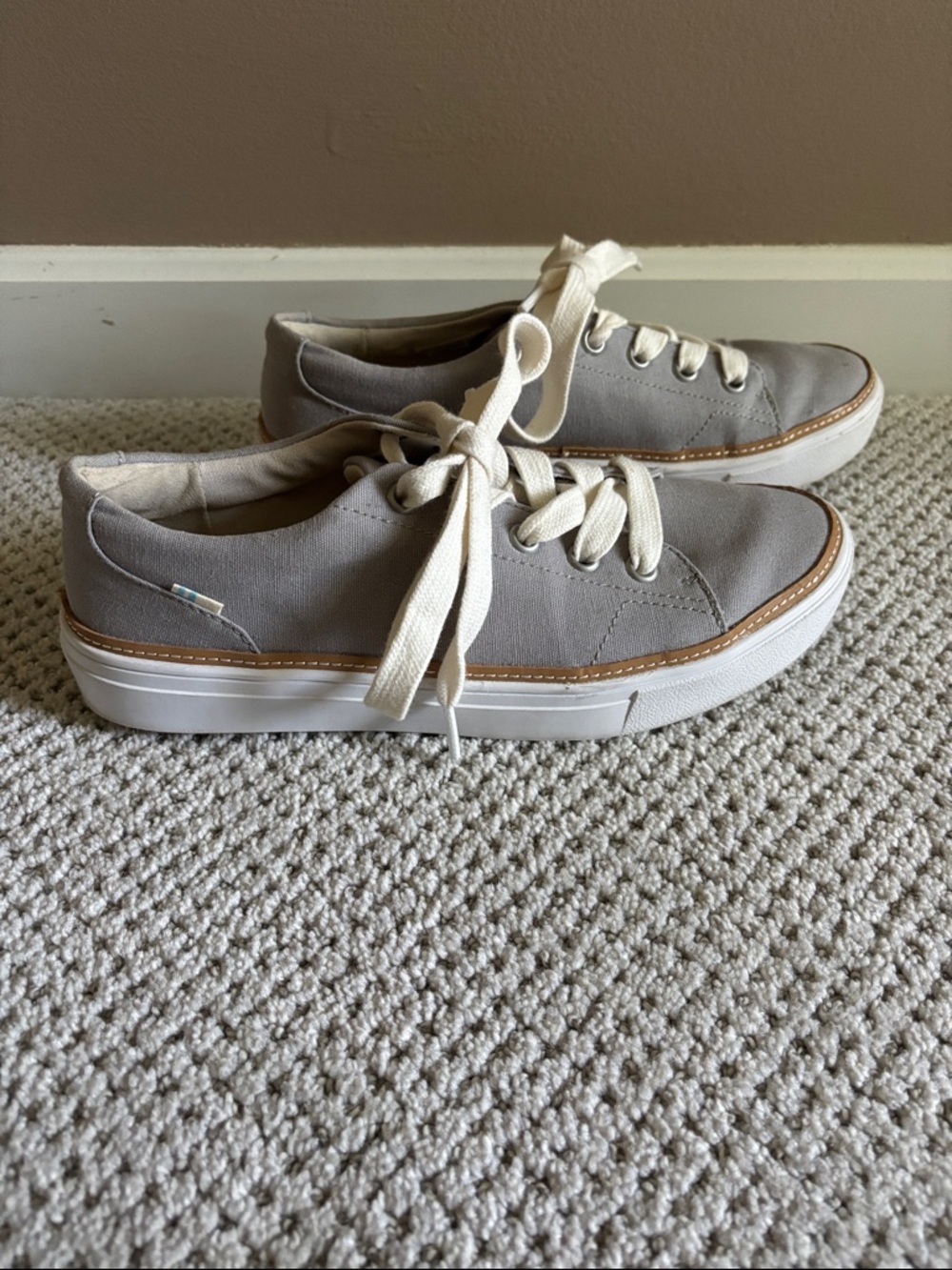 Toms canvas sneakers
